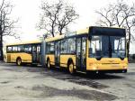 Ikarus 417.14 1999 года
